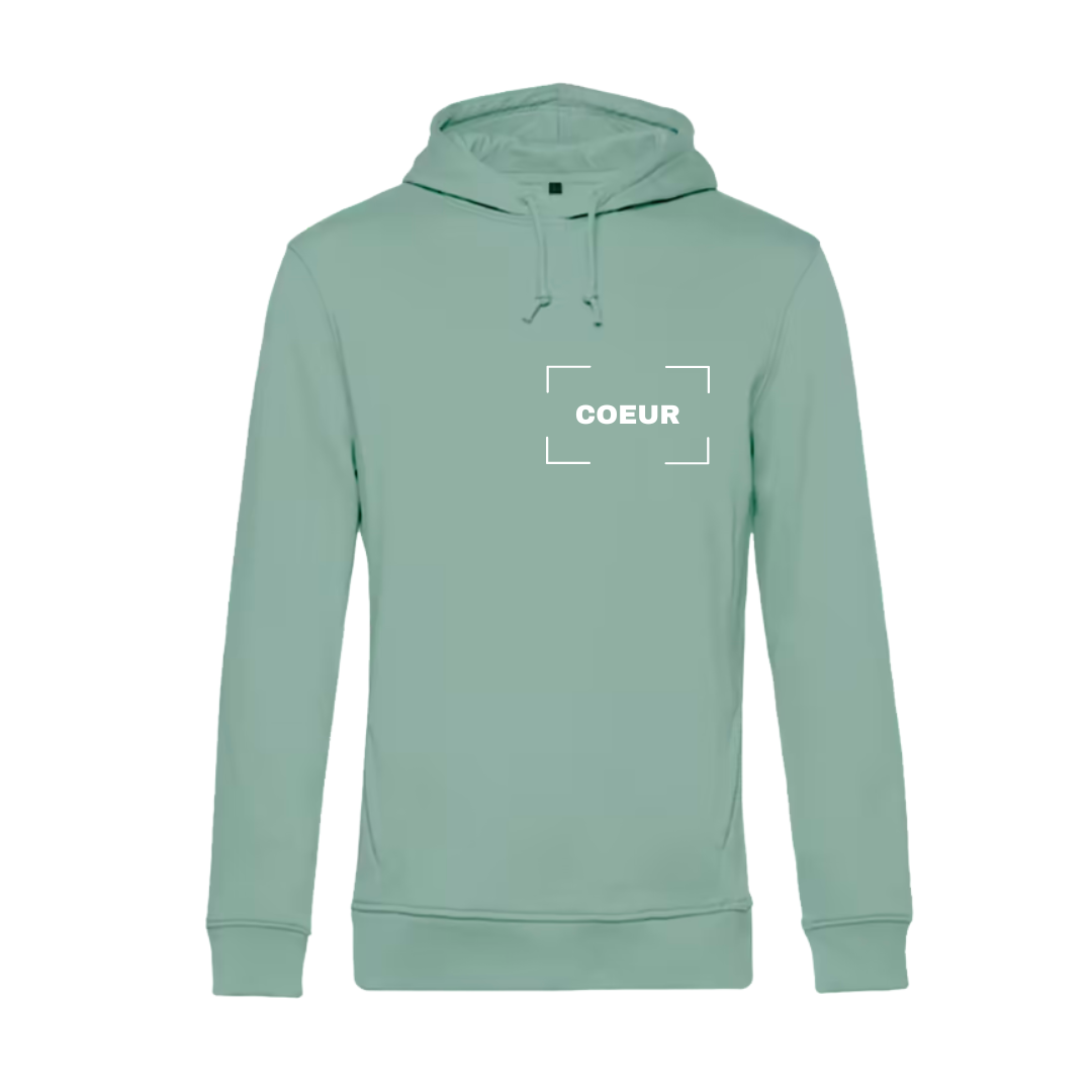 Sweat à capuche adulte sauge