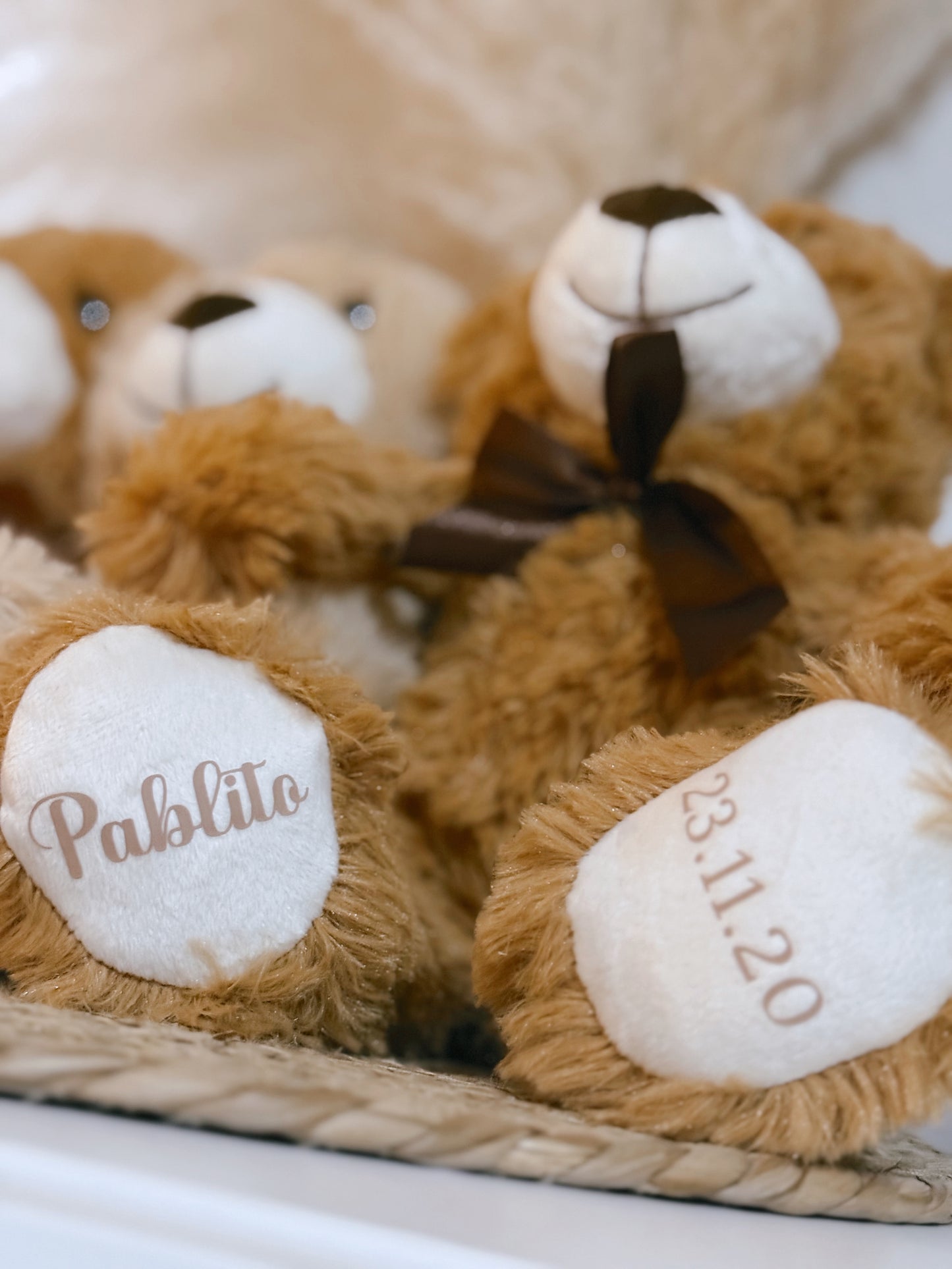Ourson en peluche