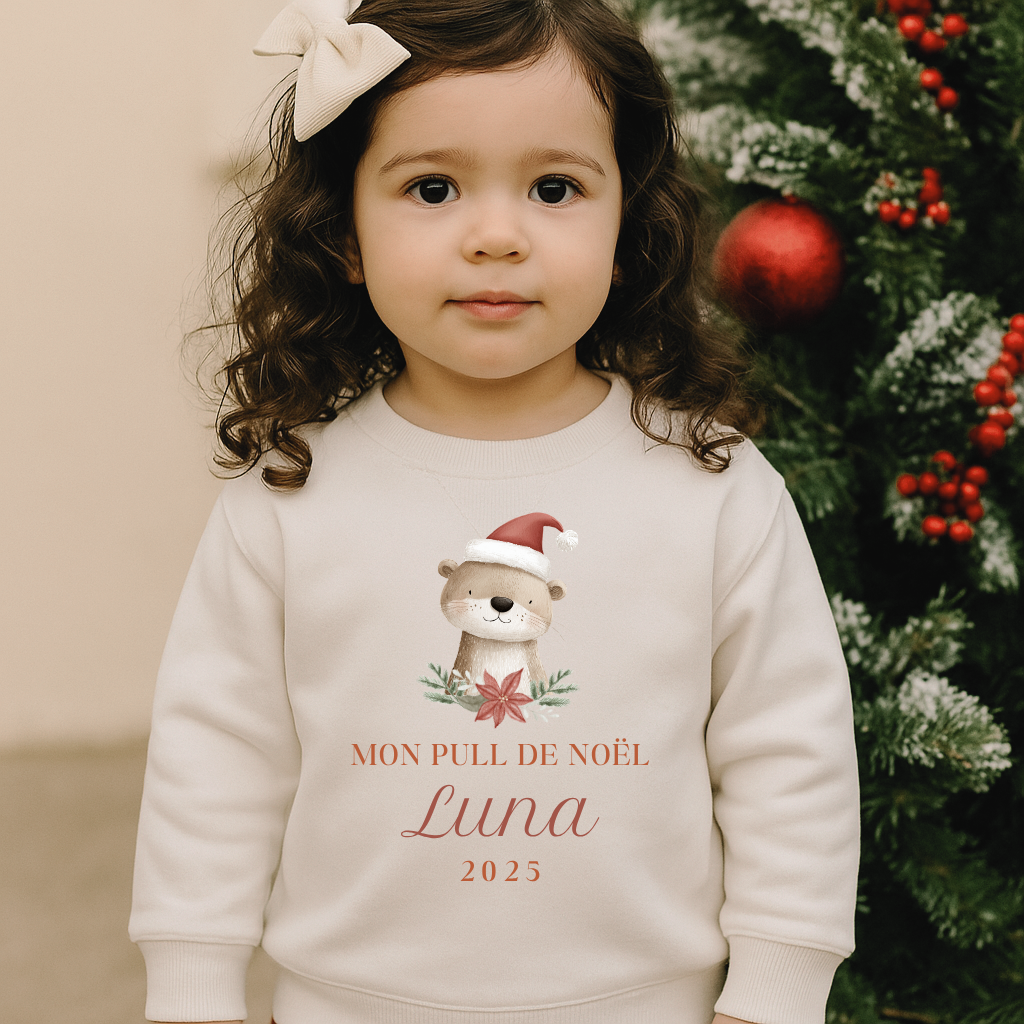 Pull de Noël animaux