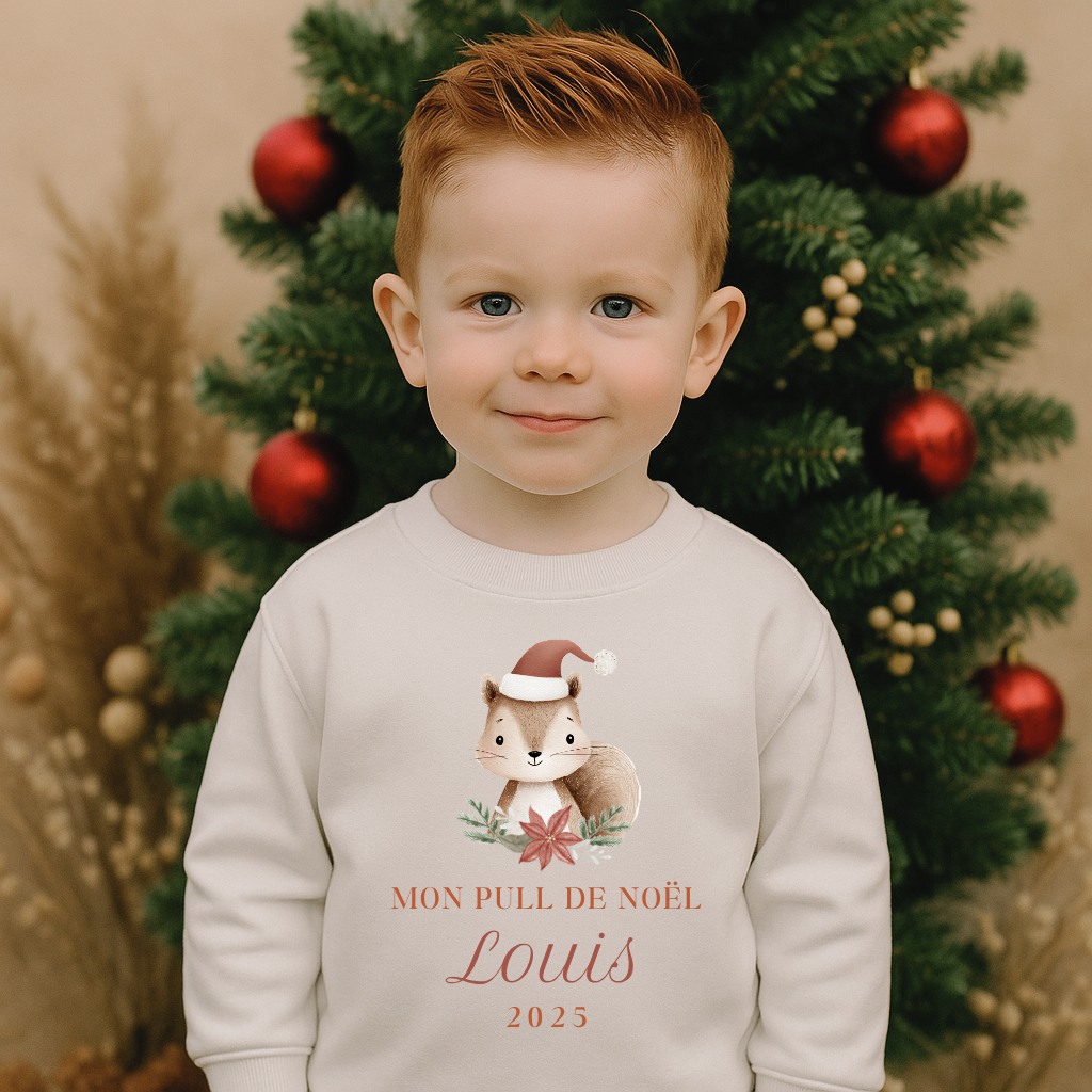 Pull de Noël animaux