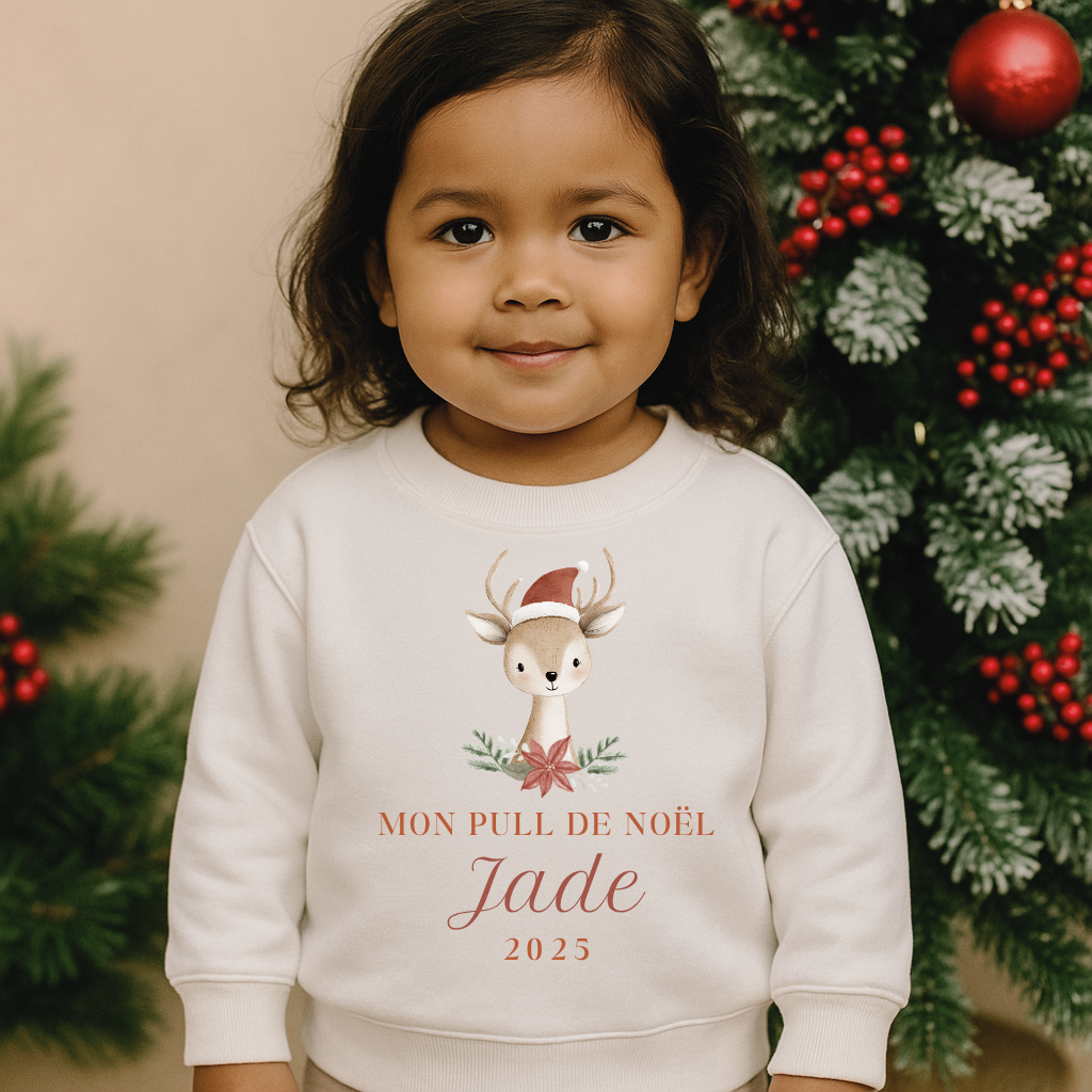 Pull de Noël animaux