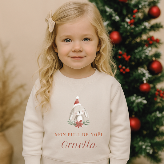 Pull de Noël animaux