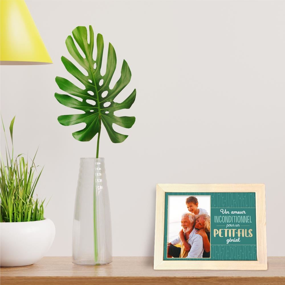 Cadre photo "petit-fils genial"